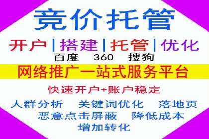 SEM托管成功案例：揭秘高效广告投放策略